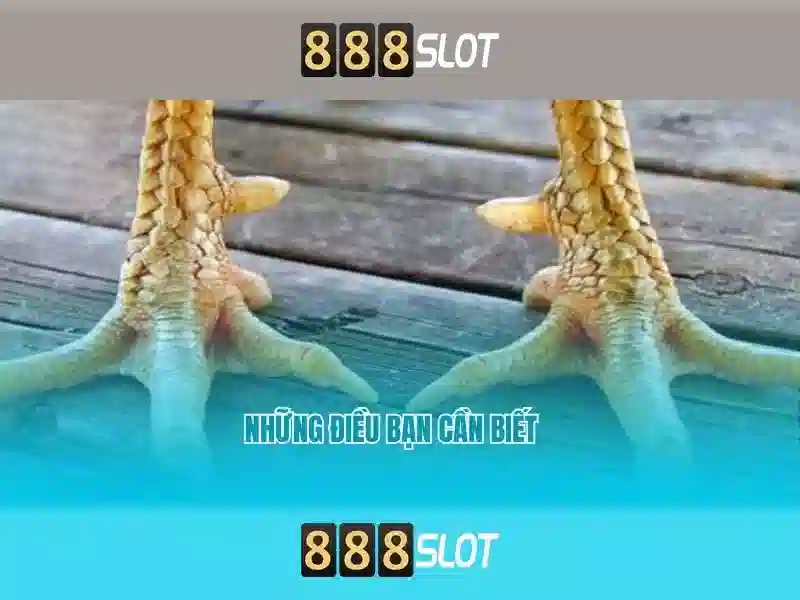 An Toàn & Bảo Mật Tại 888SLOT