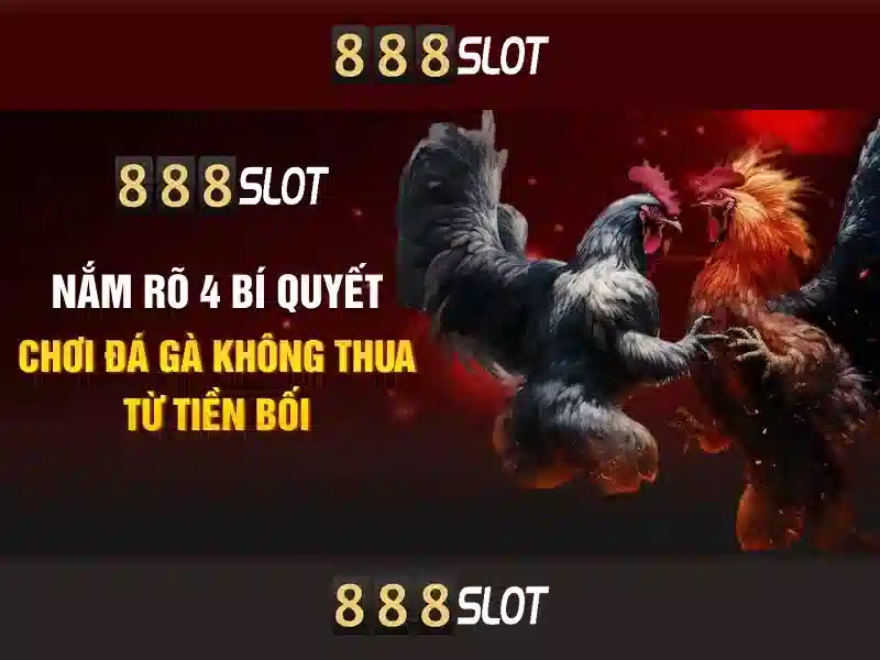 Quyền và nghĩa vụ người chơi 888SLOT