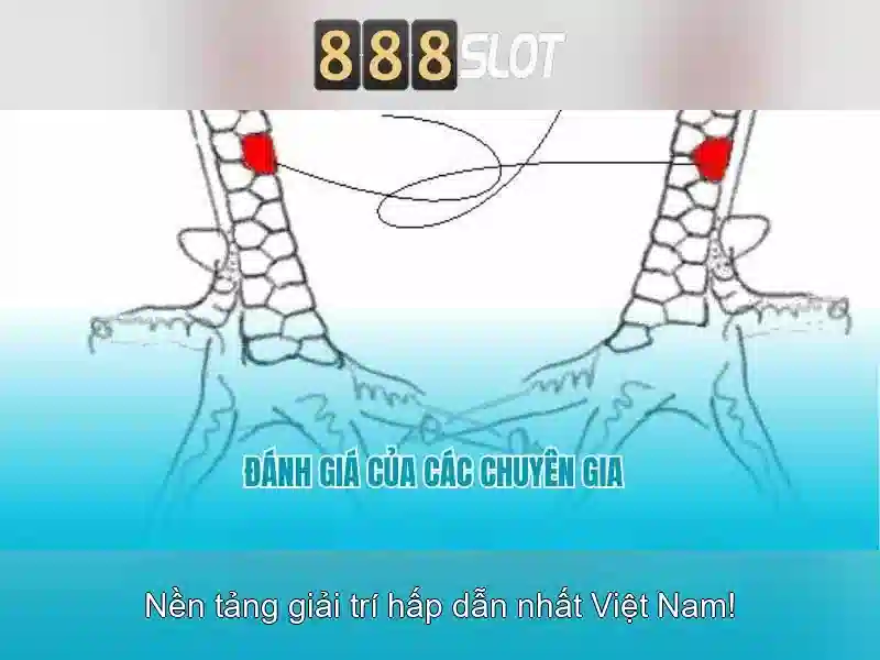 Tải APK 888Slot.com