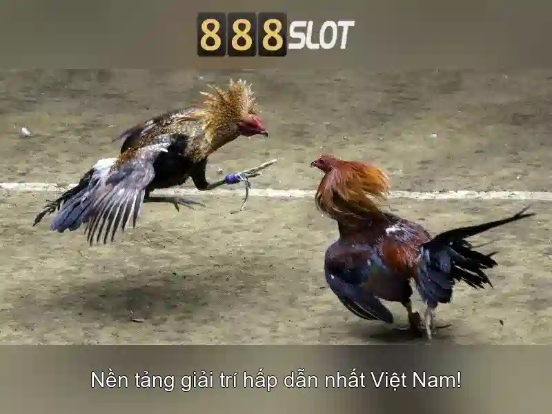 Tải 888slot