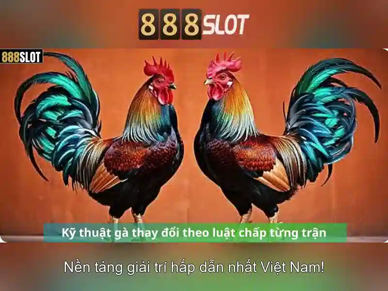 888SLOT – Trang Chủ Chính Thức 888SLOT – Trang Chủ 888SLOT