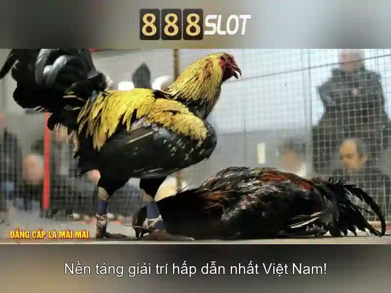 Tải 888SLOT