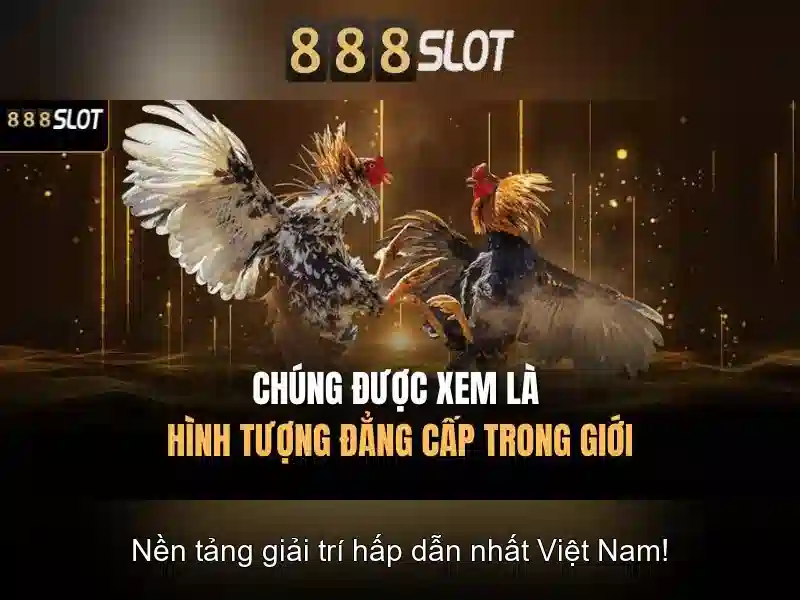 Hướng dẫn đăng nhập và thao tác